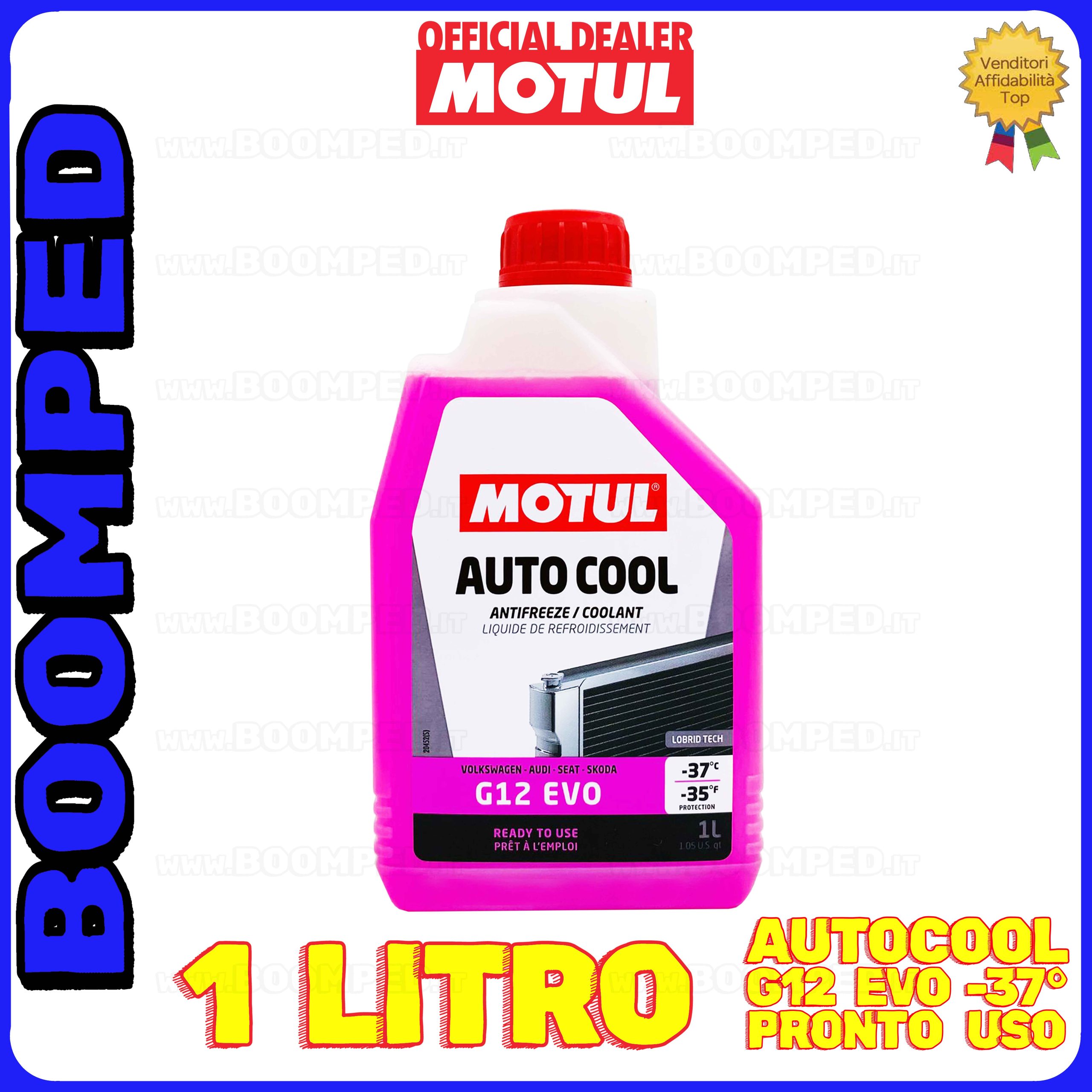 1 litro MOTUL AUTO COOL G12 EVO -37 liquido refrigreante radiatore PRONTO USO FL11